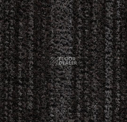 Грязезащитные покрытия Forbo Coral Brush 5741 cannon grey фото 1 | FLOORDEALER